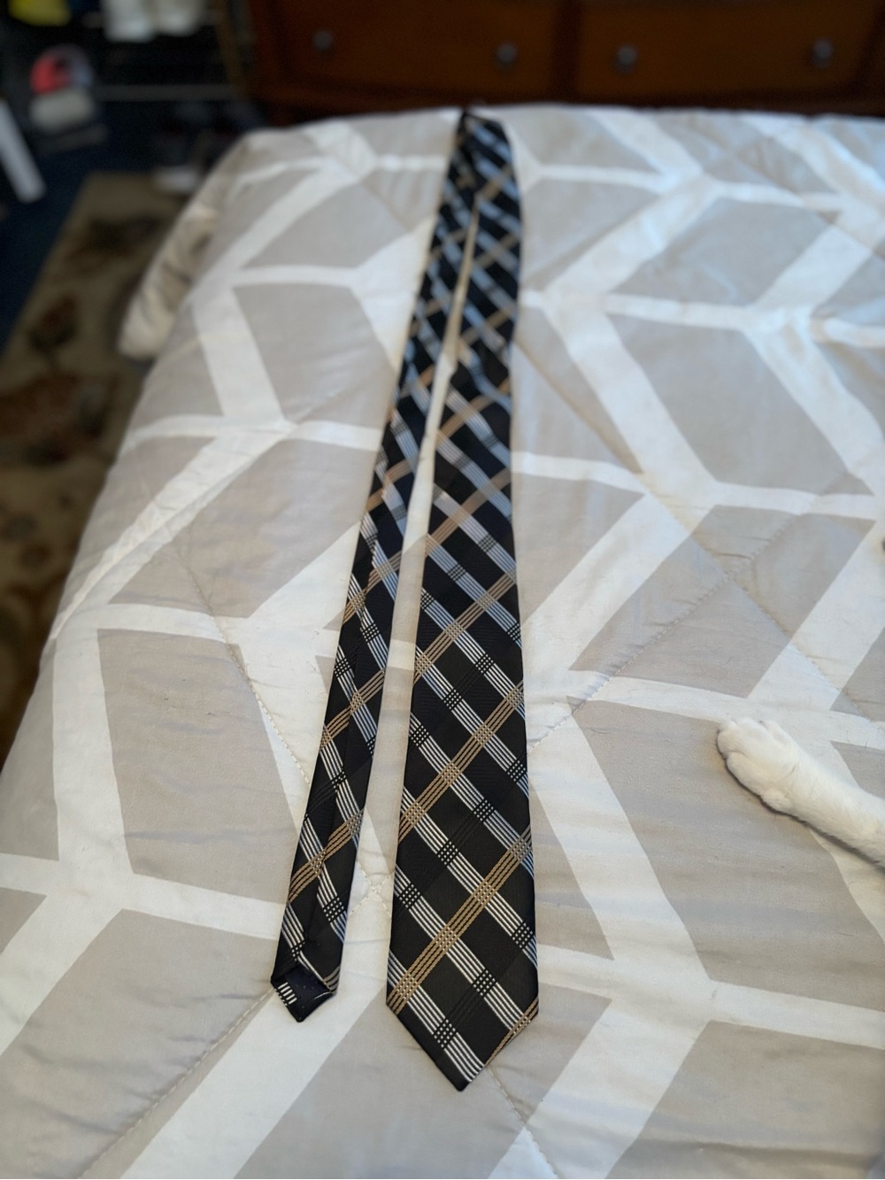 Adrienne Vittadini Black Plaid Silk Tie with Tan Accents